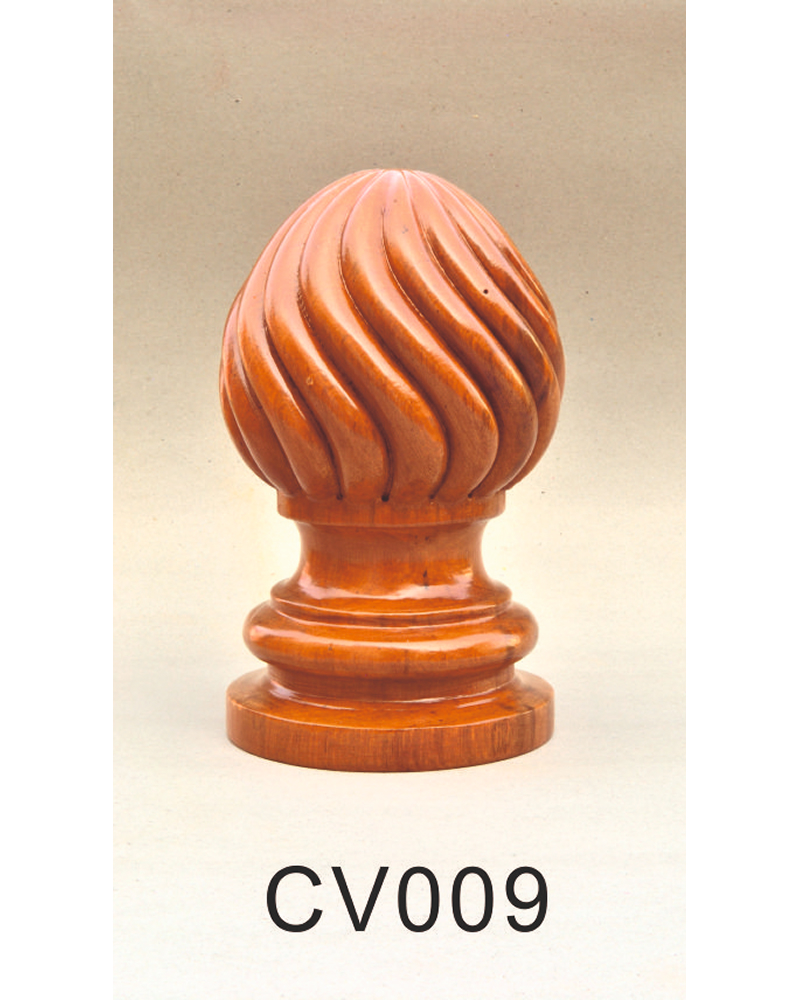 CV 009